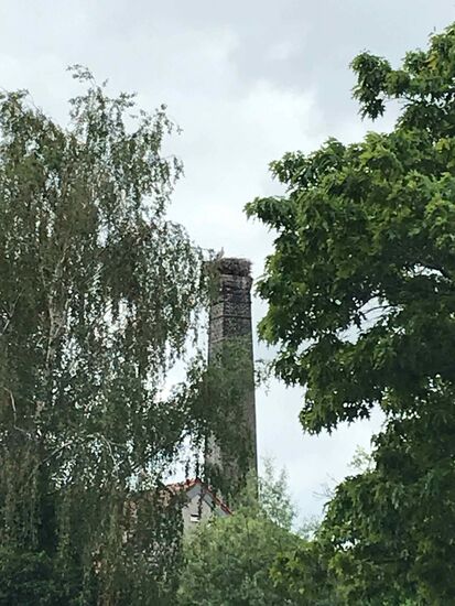 Hier noch nicht richtig zu erkennen...