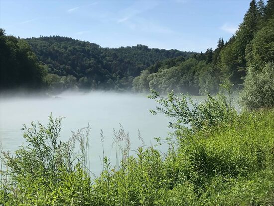Und dann steigt Nebel auf.