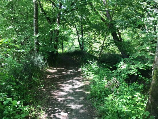 Aber es wird schmaler.