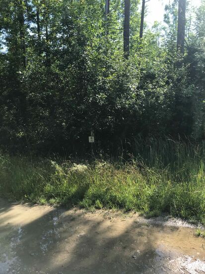 Aber man muss echt aufpassen, die Schilder sind echt versteckt.