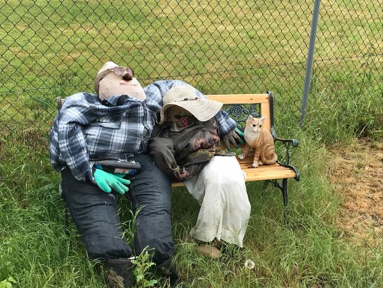 Die haben Corona überstanden , oder???