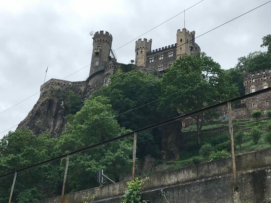 Burg Rheinstein.