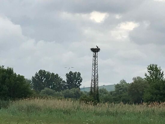 Storchennester hinter Bingen, hier wurde es endlich schöner
