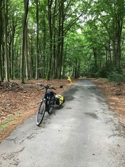 km-lang durch den Spessart, aber sehr schön!