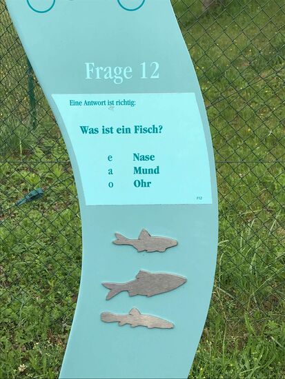 Und Rätsel, damit die Fahrt nicht langweilig wird, ihr dürft mitraten.