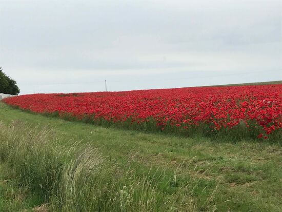 Das im Sonnenschein wäre noch viel schöner.