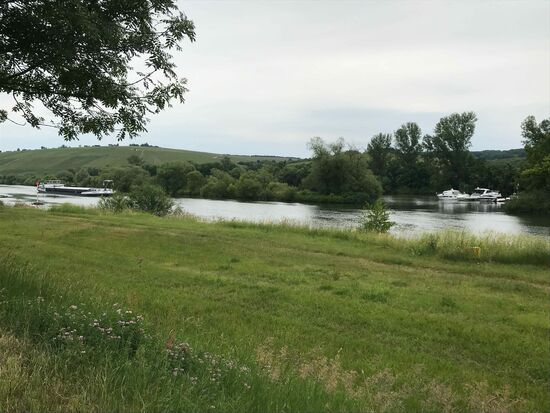 Und dann wieder am Main