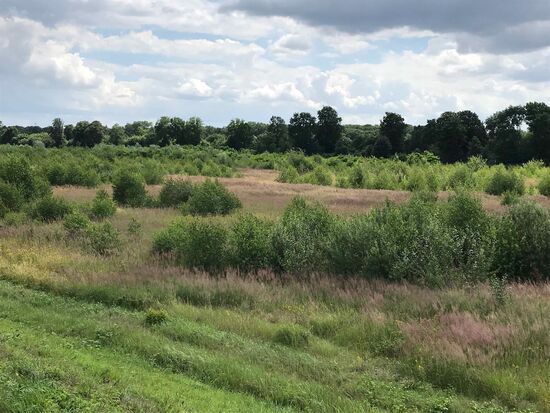 Zwischen Lippe und Kanal.