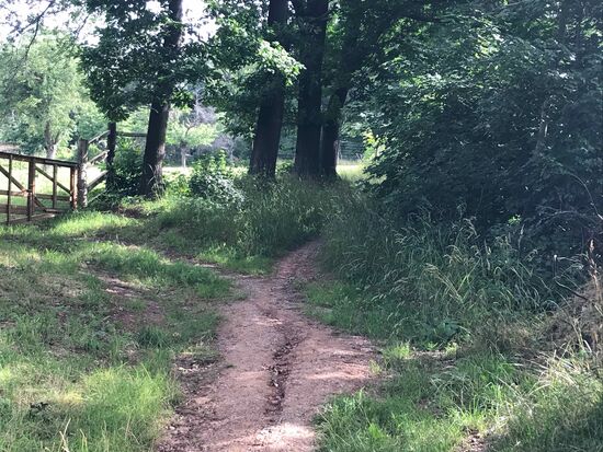 Ob das der richtige Weg ist??