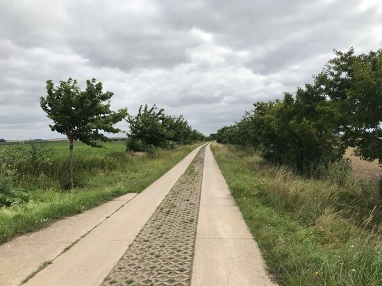 Und diese Wirtschaftswege sind mir wesentlich symphatischer als die Landstraßen ohne Radweg