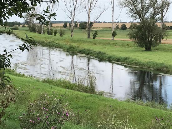 Und weiter an der Bode.