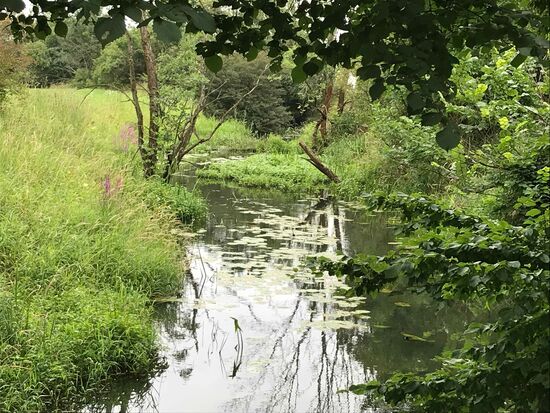 Und dann geht es durch pure Natur.