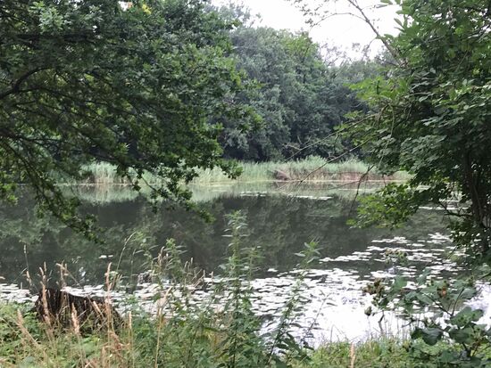 Sofort ist man im Grünen.