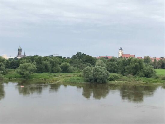Der erste Blick auf Wittenberg