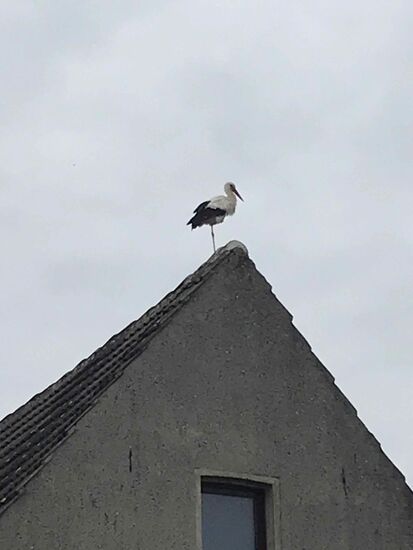 Beäugt von einem Elternteil.