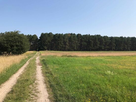 Ich weiß nicht, ob man es erkennt, der Weg (offizieller Radweg!) wird sehr sandig.