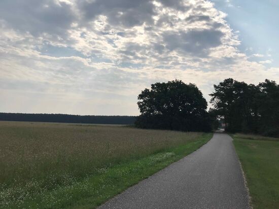 Wirklich gut zu fahren.