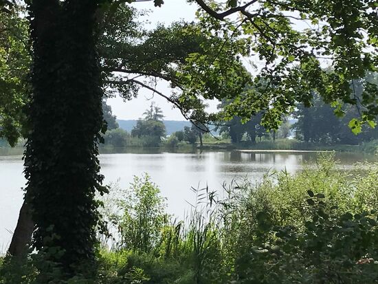 Hier der Schwielowsee.