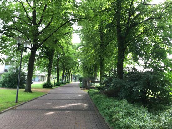 Start am Morgen in einer recht ruhigen Gegend von Marl.