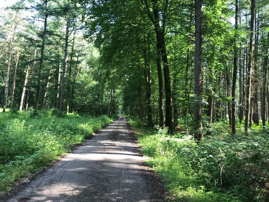 Und unglaublich wenig los, ich hatte jetzt in den Ferien eigentlich mehr erwartet.