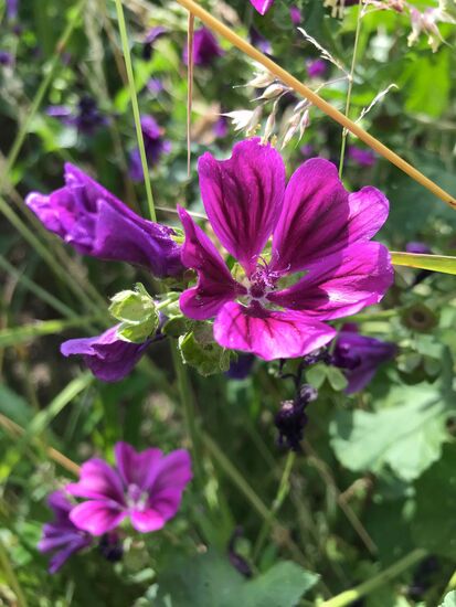 Dafür gibt es Entschädigung. Ist das nicht schön??