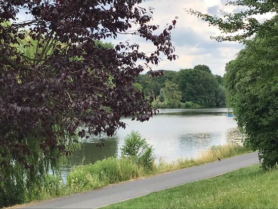 Aber ich komme trotzdem am Aasee an.