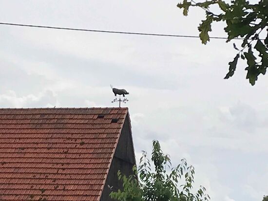 Und hier sehen die Wetterfahnen auf dem Hof so aus, sieht man auch nicht alle Tage.