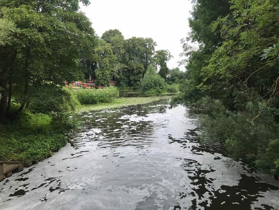 Die Werse an der Pleister Mühle.