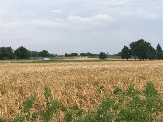 Viel Landwirtschaft unterwegs.