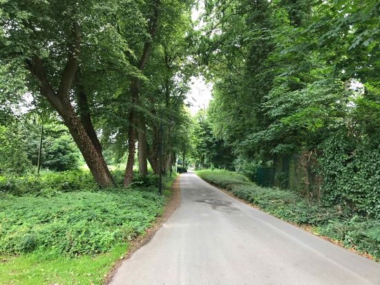 Und dann geht's wieder in den Wald.