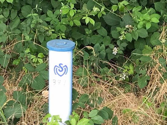 Der MSV ist wohl überall bekannt. Und bevor jemand fragt: NEIN!!! ICH WAR ES NICHT!!