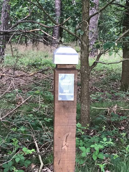 Moderne Grenzsteine, früher hat man die dezent gehalten, heute protzt man damit herum. Ich bin an bald 15 davon vorbeigekommen, alle vom Bauer Josef B.