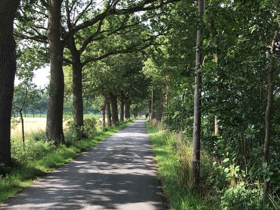Und das sind die typischen kleinen Straßen, auf denen Radfahren wirklich gut geht.