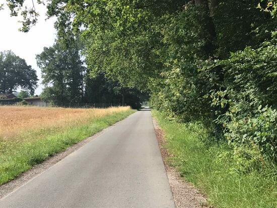 Kurz hinter Harsewinkel die "üblichen" kaum befahrenen Baubestandenen Straßen, sehr angenehm zu fahren.