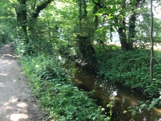 Einsturzes Stück an der Mutter entlang....