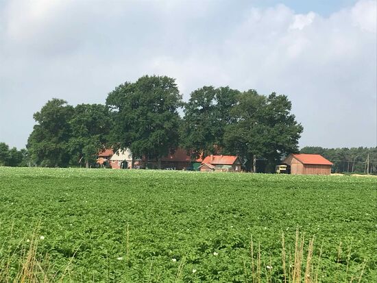 Vereinzelte Gehöfte sind in der Landschaft verteilt.