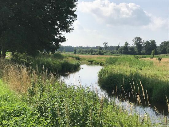 Noch ein Stück entlang der Dalke.