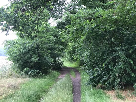 Leider führen diese Wege auch hier hinein, aber es ist noch befahrbar.