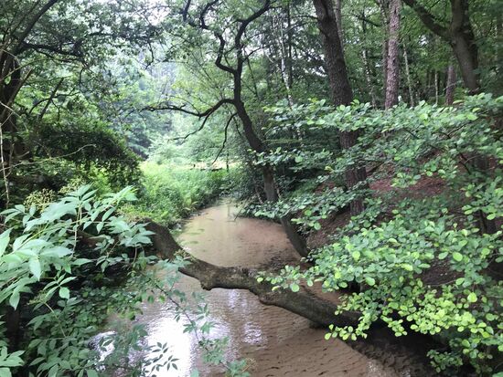 Der Furlbach, echt idyllisch