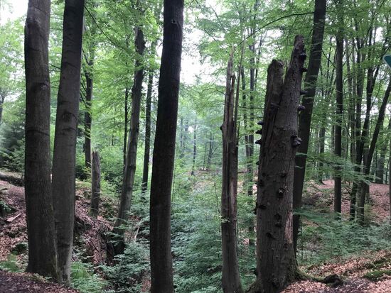 Auch heute (Sonntag) fällt mir auf, wie wenig hier los ist. Aber mir gefällt es.