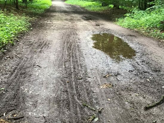 Es hat wohl auch hier in den letzten Tagen geregnet, obwohl ich nichts abbekommen habe, aber der Weg wird schwieriger.