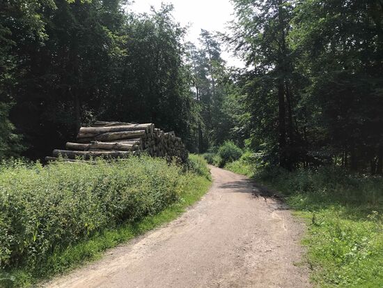 Echt schön hier, wieder ein Tag um die Natur zu genießen.