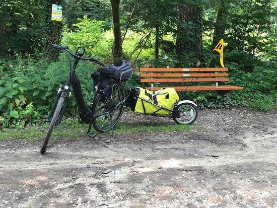 Und das mache ich, genieße die Stille auf einer einsamen Bank mitten im Wald