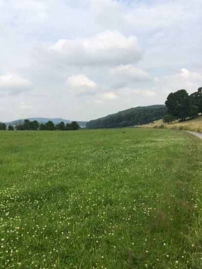 Zur Abwechslung mal wieder durch Felder und Wiesen.