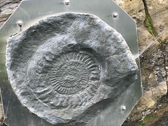 Dieses Fundstück hat man hier beim Straßenbau gefunden. Kurz vor Sandebeck.