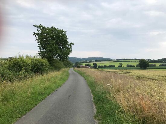 Also weiter durch Felder und Wiesen...