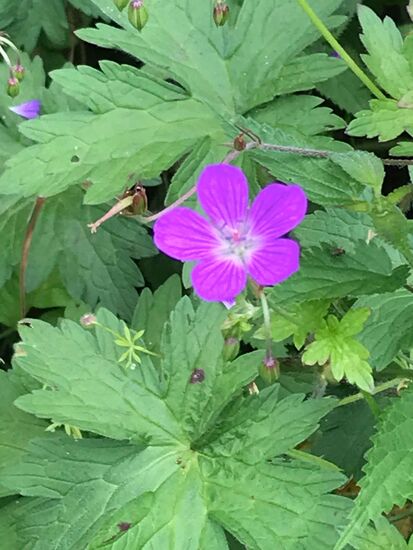 Natur ist doch wunderschön