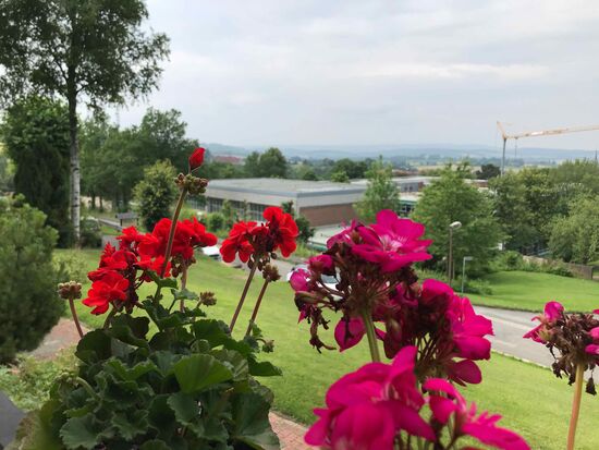 Ein erster Blick von der Terrasse, es ziehen schon Regenwolken auf