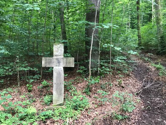 Und hier ist ein Förster tödlich verunglückt (1950)