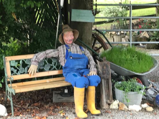 Seltsame Gestalten am Wegesrand